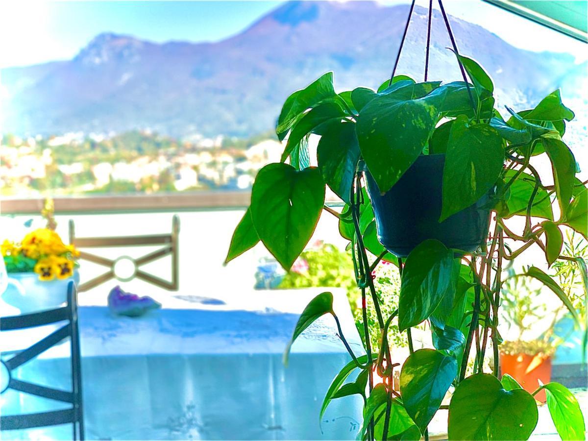 Zora'S B&B Lugano Exteriér fotografie